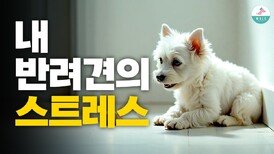 우리 강아지가 힘들다는 신호, 당신은 아시나요?