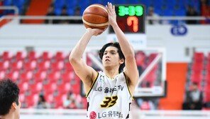프로농구 LG, 2위로 4강 직행…정관장은 봄 농구 희망 이어가