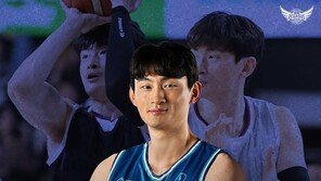 프로농구 한국가스공사, FA 김국찬·최진수 영입