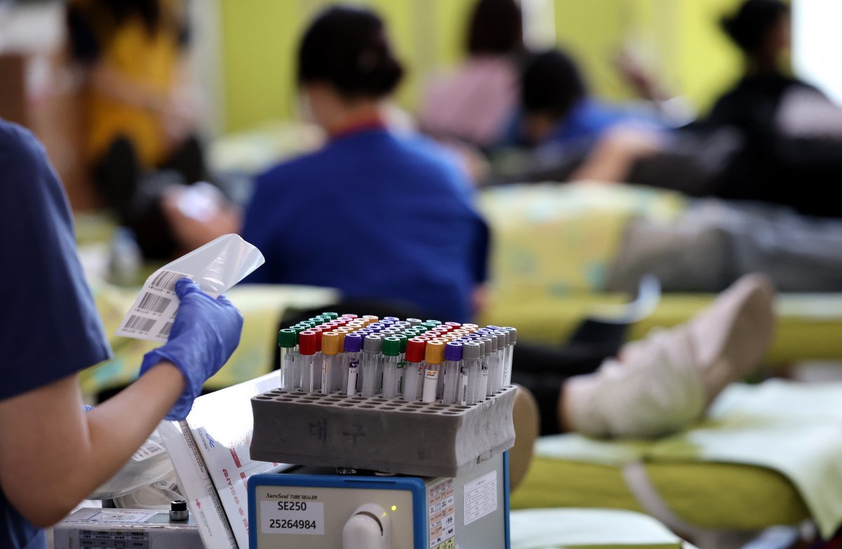 19일 대구 북구 대구보건대학교 본관에서 열린 ‘제27회 헌혈 사랑 나눔 축제‘에 참여한 학생들이 헌혈을 하고 있다. 2025.05.19 뉴시스